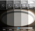 WiFi Smart Ceiling Light, Colorful