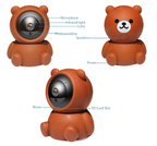 Security camera app interface