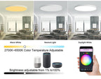 WiFi Smart Ceiling Light, Colorful