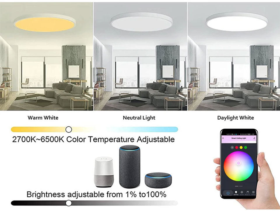 WiFi Smart Ceiling Light, Colorful