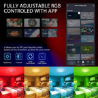 WiFi Smart Ceiling Light, Colorful