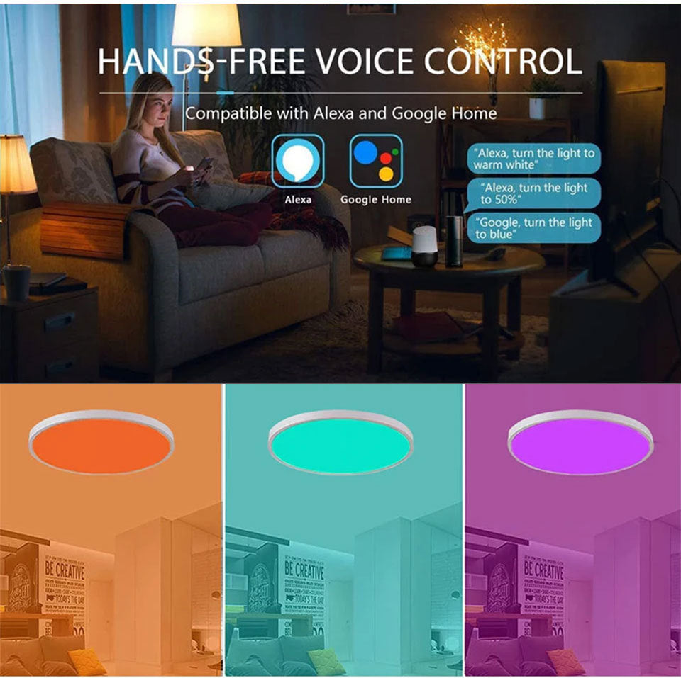 WiFi Smart Ceiling Light, Colorful